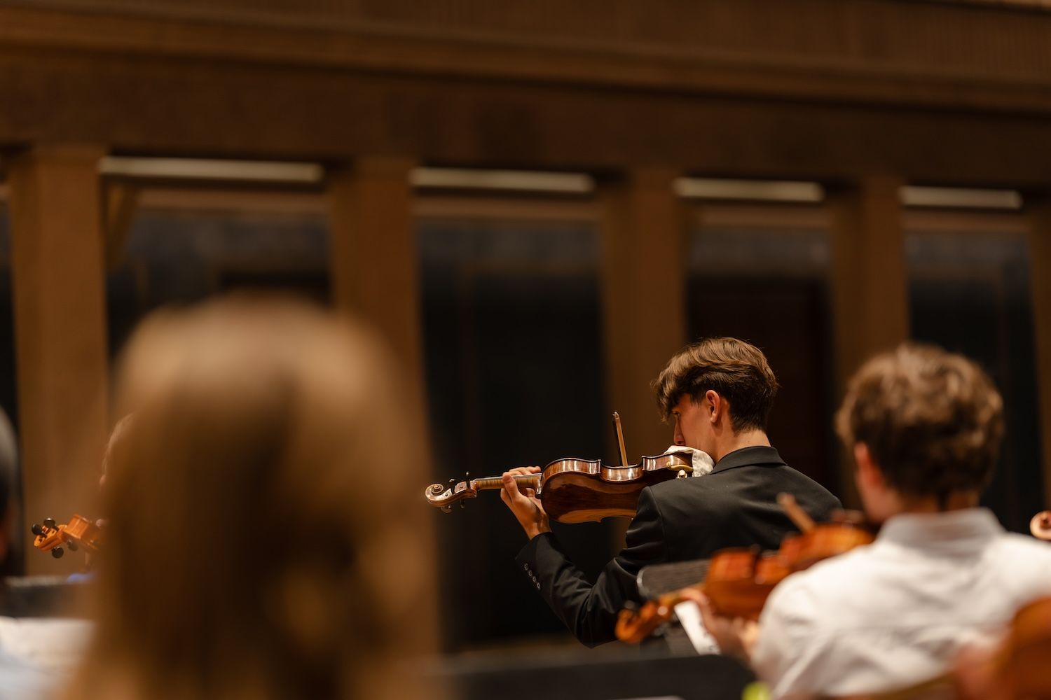 Illustration du site avec un violon