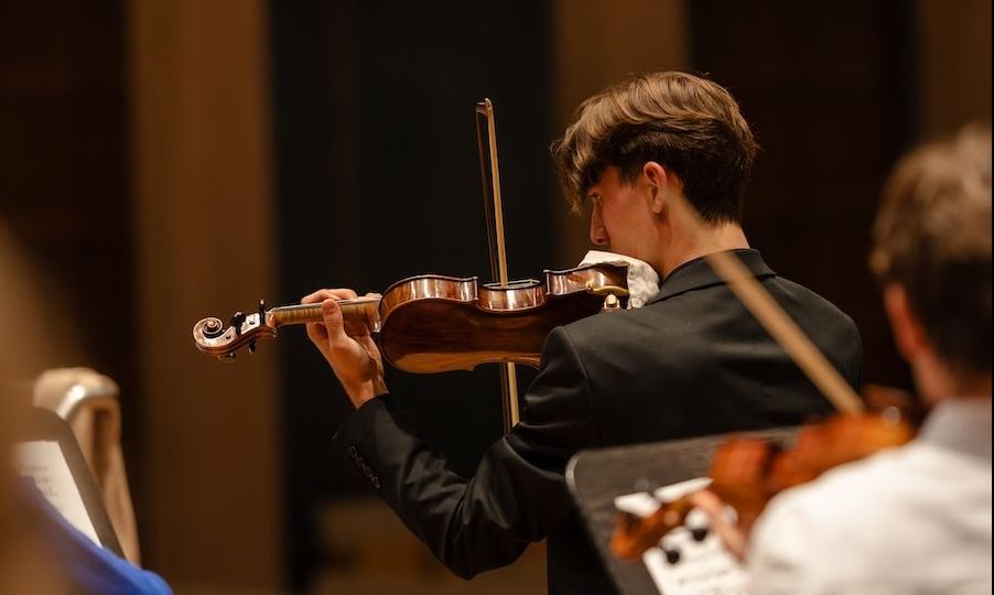 Illustration du site avec un violon